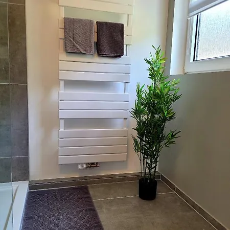 Modernes Rhein Appartement